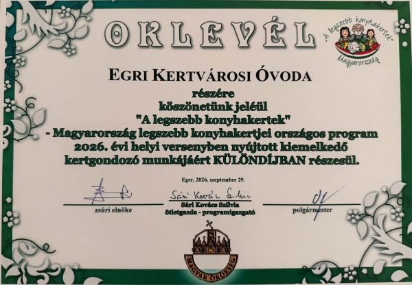 Büszkeségeink az Óvodai udvaron!