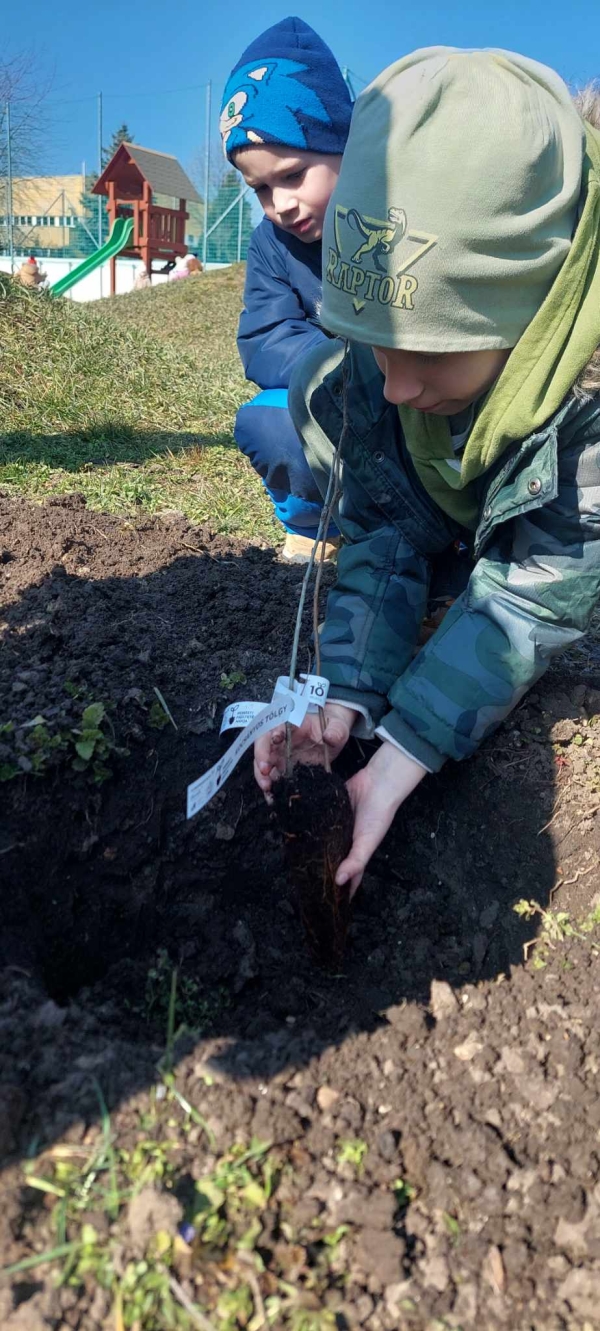 A Nemzeti Faültetés Napja 2025