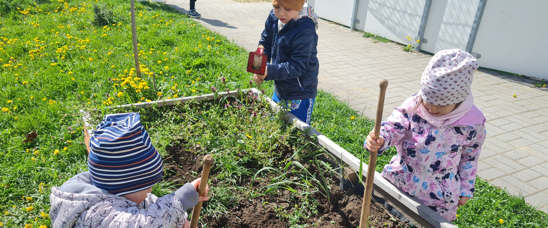 Slide: Magaságyások gondozása